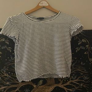 Lettuce Edge American Eagle Crop